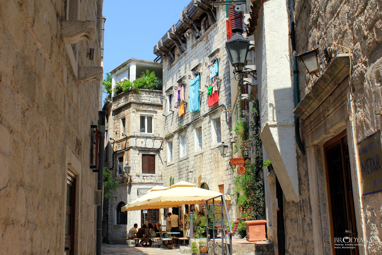 Kotor
